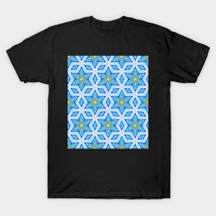 Hanauma BAy Kaleidoscope 16 T-Shirt